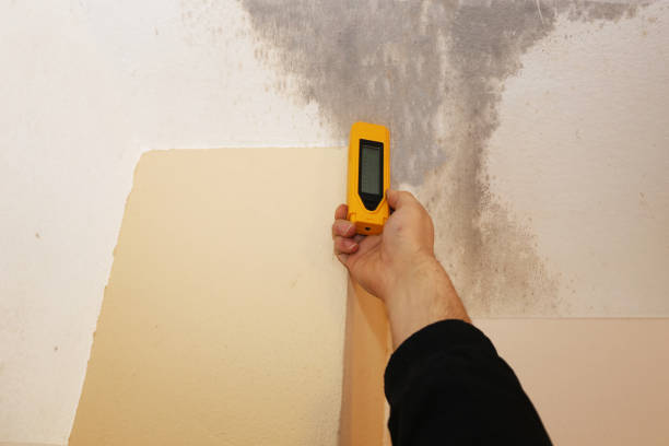 Mold Removal for HVAC Installations in Mullica Hill, NJ