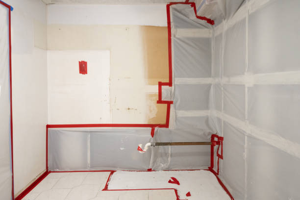 Best Post-Construction Mold Inspection  in Mullica Hill, NJ
