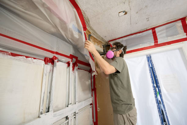 Asbestos and Lead Testing During Mold Inspection in Mullica Hill, NJ